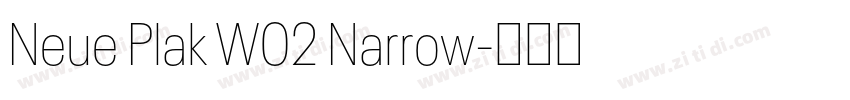 Neue Plak W02 Narrow字体转换 Neue Plak W02 Narrow字体转换